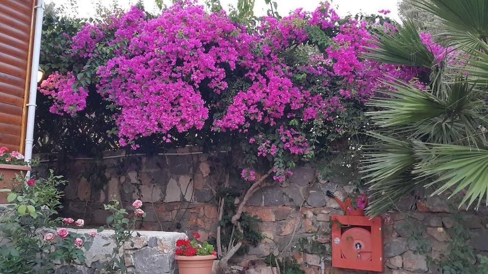 Kabak Armes Hotel Faralya Exterior foto
